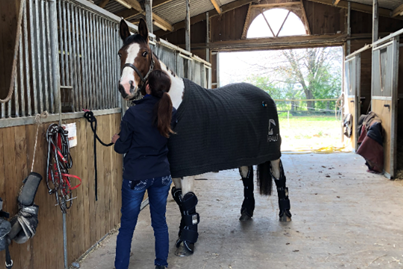 Protecting my horse during transport.